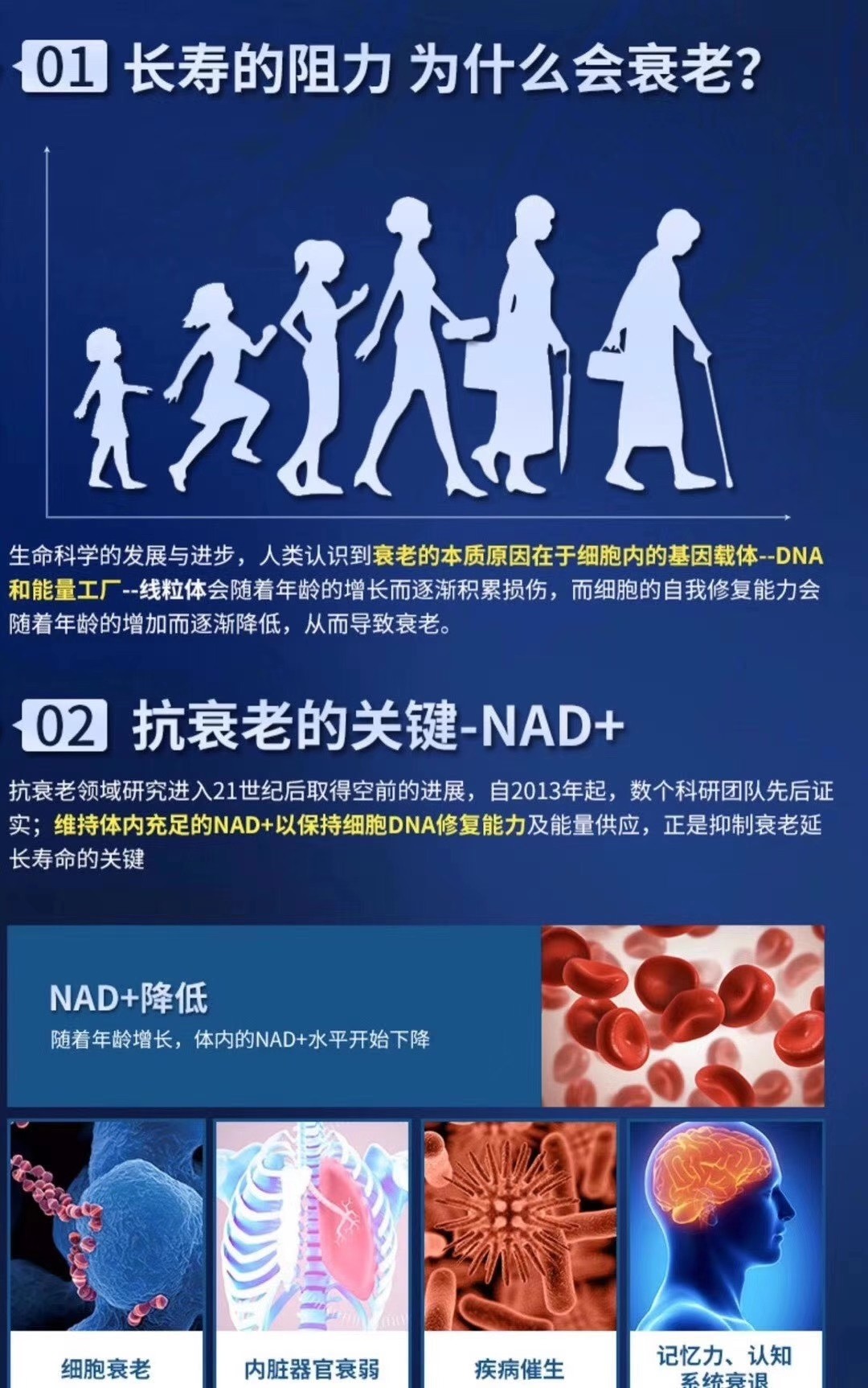 01长寿的阻力 为什么会衰老?02 抗衰老的关键-NAD+