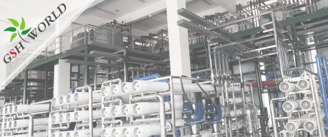 企业动态 - 安庆市区领导对古特生物的生产发展给予充分肯定