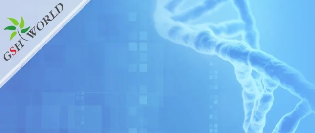 烟酰胺和nmn区别？烟酰胺单核苷酸(NMN) 的化合物