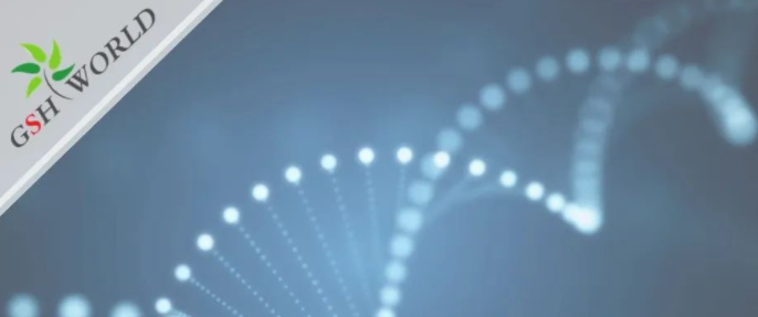 行业关注 - 胞磷胆碱保护大脑的7大好处