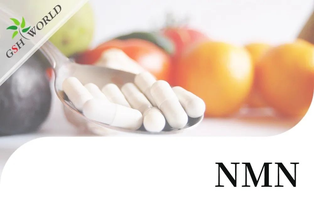 行业关注 - NMN潜在的抗衰老活性及其适用性