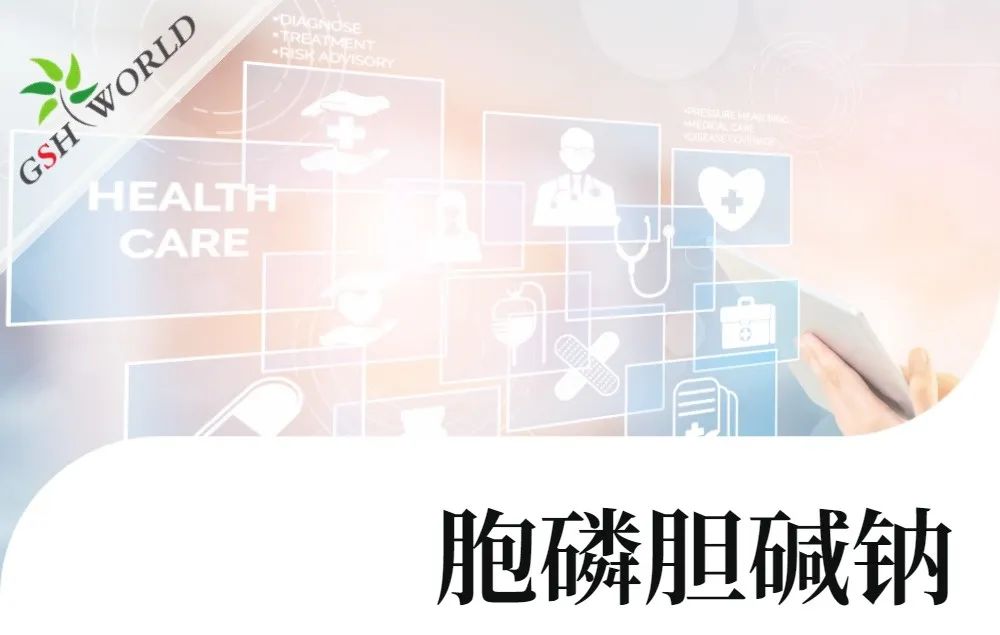 行业关注 - 胞磷胆碱钠对新冠导致相关认知衰退的潜在作用