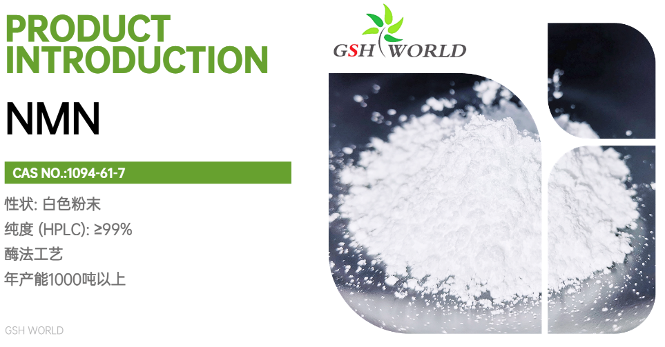 烟酰胺单核苷酸：一种有望延缓衰老的分子