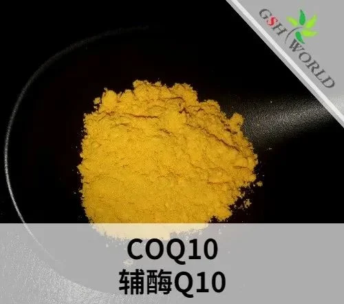 辅酶Q10原料的概述和应用