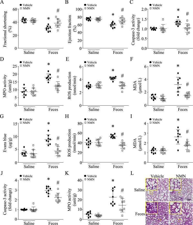包含图片、插图等的外部文件。
对象名称为 12967_2023_4767_Fig2_HTML.jpg