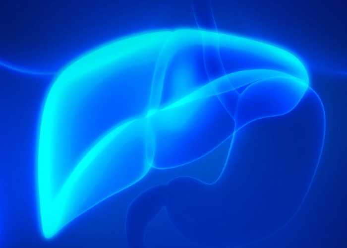 古特生物 古特生物