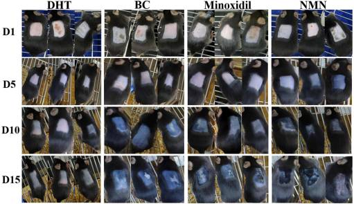古特生物 古特生物