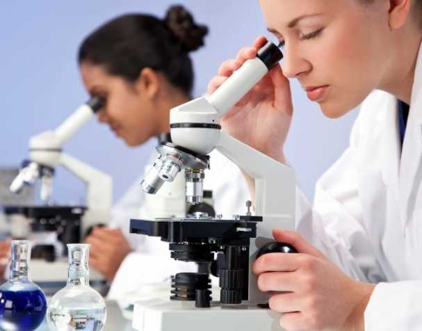 古特生物 SAMe可用于治疗ADHD吗?