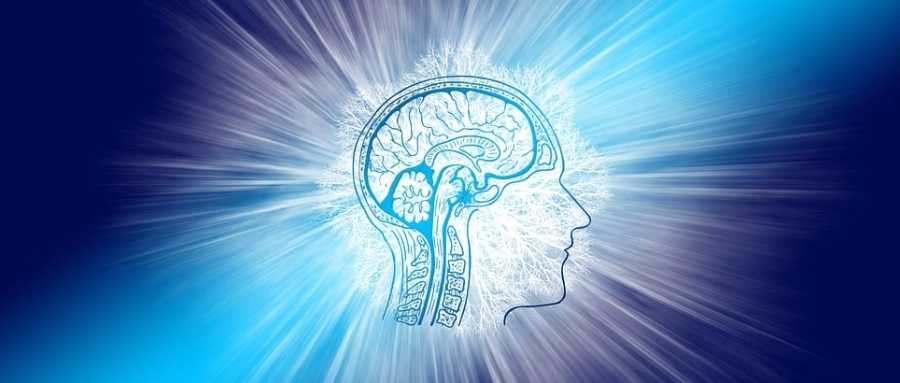 肌肉力量和身体机能的增强