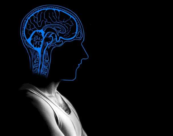 胞磷胆碱跟记忆的关系