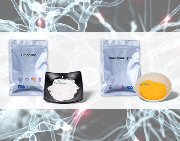 胞磷胆碱与辅酶Q10的神经保护机制