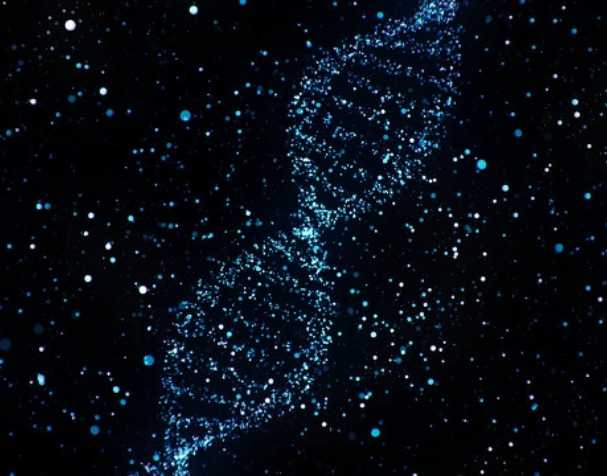 古特生物 烟酰胺核糖氯化物有什么优势?