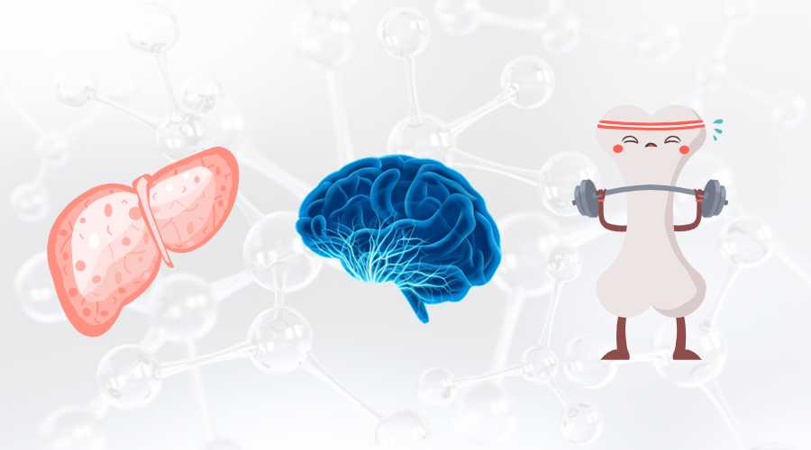 SAMe对肝脏健康的潜在益处