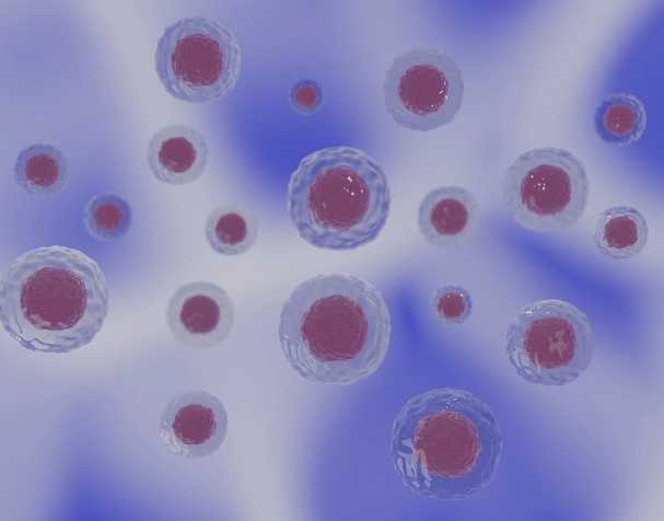 PQQ的结构与特性