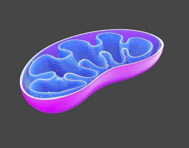 古特生物 缓解特定疾病症状