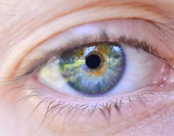 胞磷胆碱的作用机制