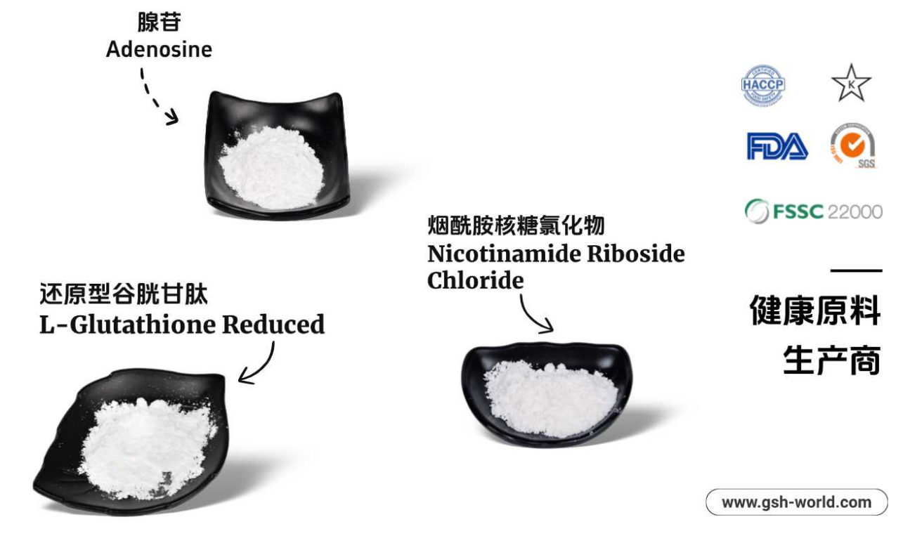 有哪些原料被广泛应用？