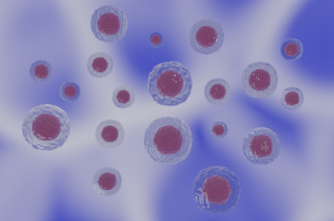 硫辛酸的独特作用与联合应用