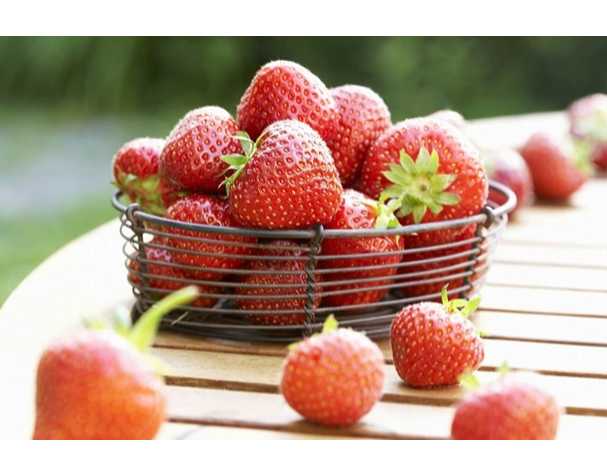 在维持果实营养品质方面，谷胱甘肽表现突出