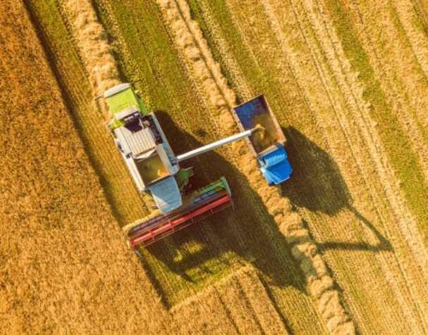 谷胱甘肽在多种非生物胁迫中的作用