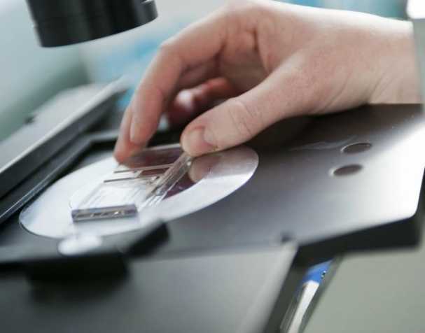 SAMe或成慢性结肠炎新希望? SAMe或成慢性结肠炎新希望?