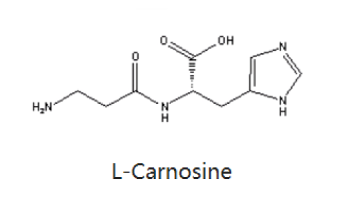 肌肽-化妆品中的应用