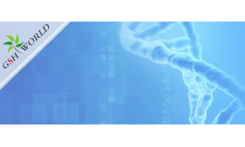 行业关注 - 风靡美国的辅酶Q10到底要不要吃？吃多少合适？