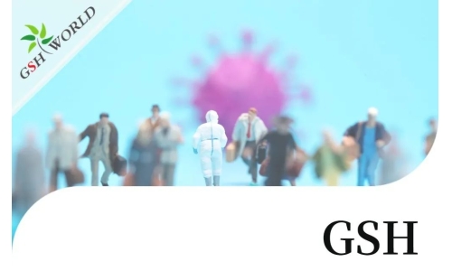 行业关注 - 增强 GSH 可能是对抗新冠疾病的有效疗法