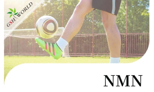 行业关注 - NMN对肌腱炎的抗氧化作用