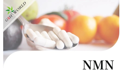 行业关注 - NMN潜在的抗衰老活性及其适用性