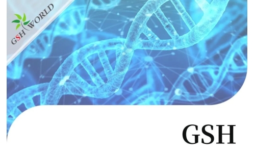 行业关注 - 谷胱甘肽结合几种不同抗癌化疗药物的生物学作用