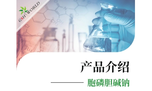 产品介绍 - 胞磷胆碱钠——被广泛应用的神经保护剂