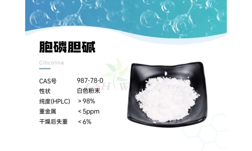 产品资讯 - 胞磷胆碱在视网膜病理学中的作用