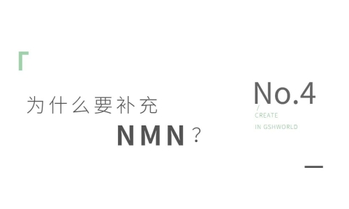 NMN——身体内的抗氧化剂、免疫调节剂和抗炎药