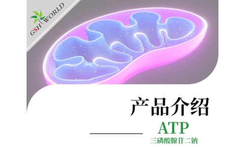 三磷酸腺苷二钠：生命能量的化学密码