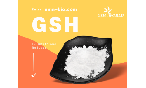 谷胱甘肽：一种多功能的抗氧化剂和解毒剂