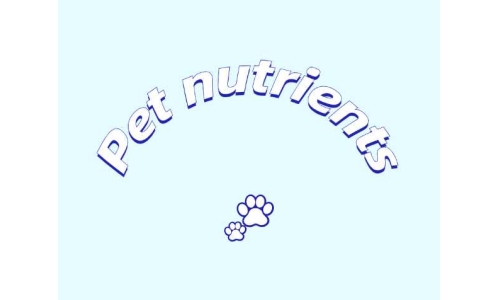 三种具有潜力的宠物营养素——PQQ、辅酶Q10以及S-腺苷甲硫氨酸