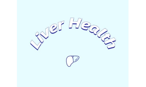 哪些原料可助力肝脏健康？