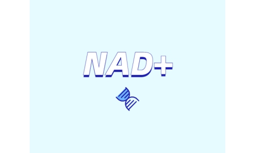 烟酰胺如何控制皮肤老化：NAD/NADH与NMN的关键作用