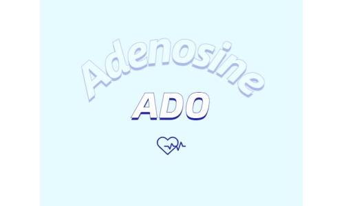 腺苷作为抗脱发外用制剂所发挥的作用