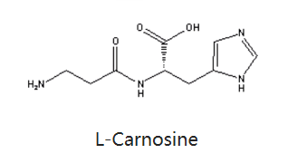 肌肽-化妆品中的应用