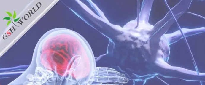 行业关注 - 谷胱甘肽在脑部疾病和衰老中的作用