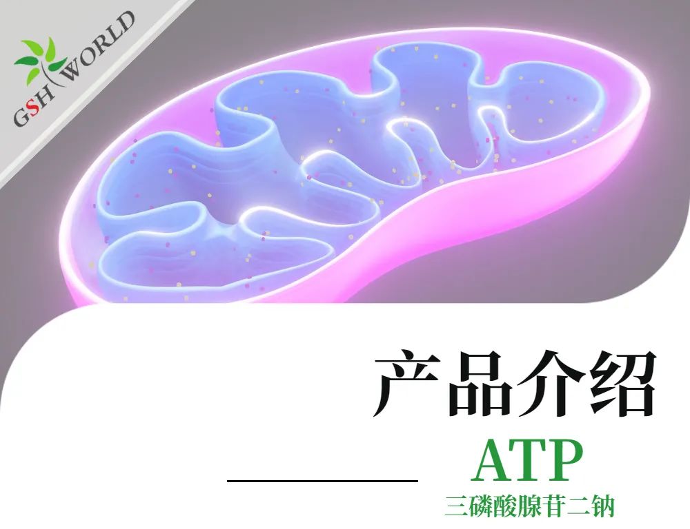 三磷酸腺苷二钠：生命能量的化学密码