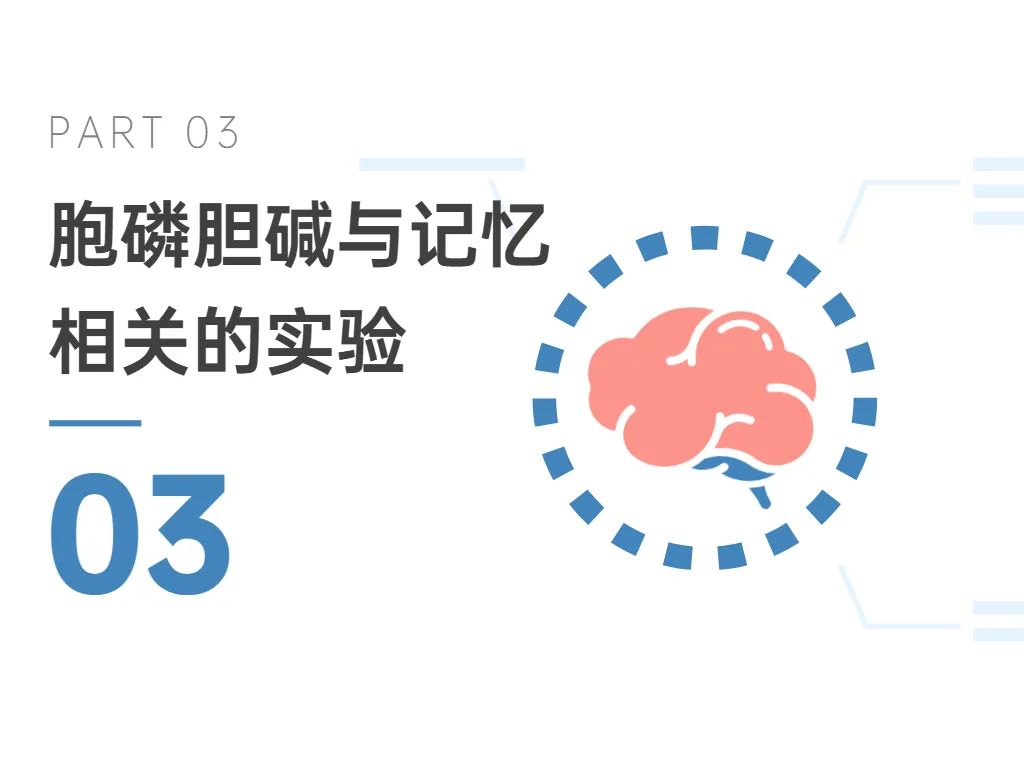 03胞磷胆碱与记忆相关的实验