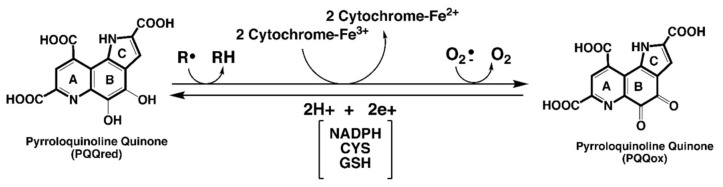 包含图片、插图等的外部文件。
对象名称为 biomolecules-11-01441-g001.jpg