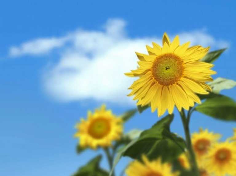 古特生物 古特生物