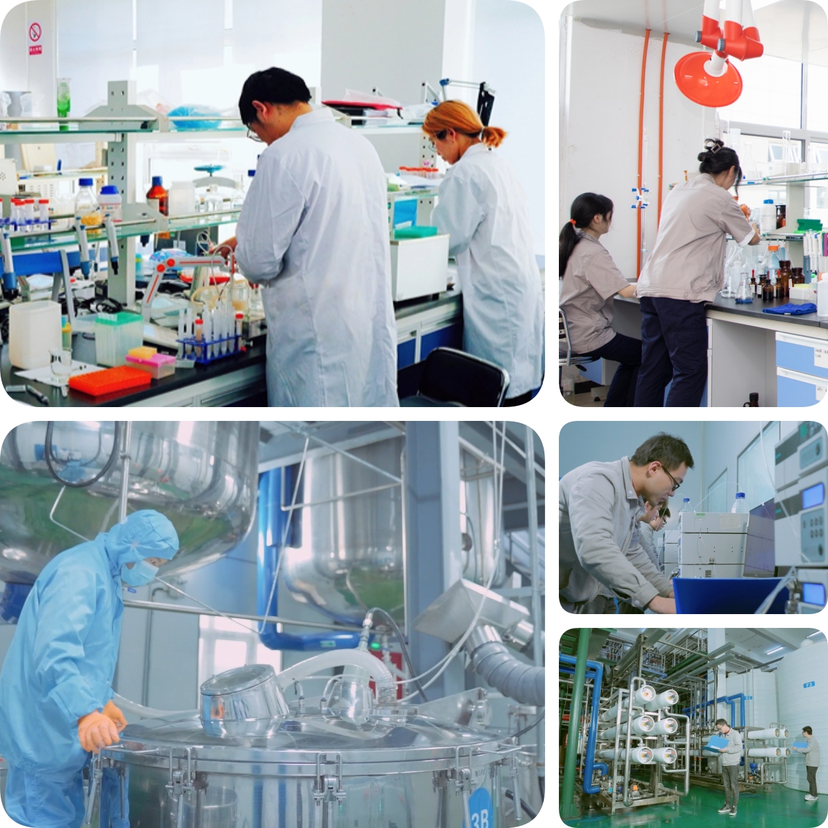 谷胱甘肽是怎么生产的？