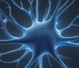 胞磷胆碱：神经膜的直接修复者