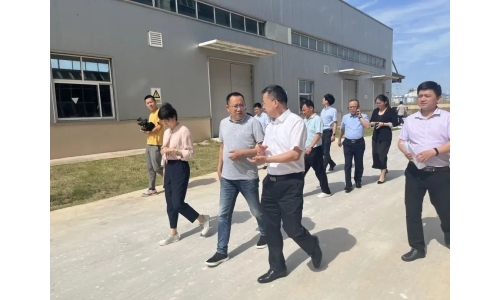 市委常委、副市长吕栋来公司调研